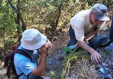 Two people inspecting and photographing a plant in the woods